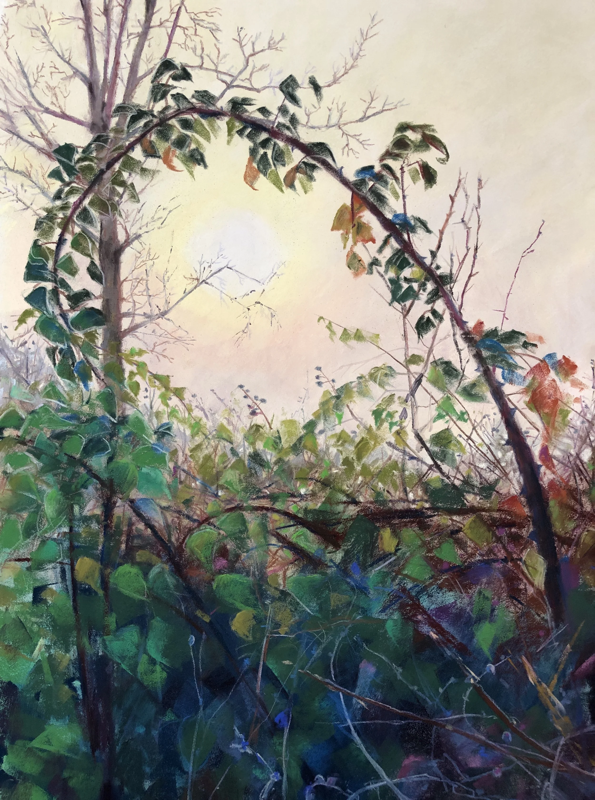 Hedge on a winter morning. Soft pastel on pastel at. 58x38cm.Available £700. Contact me to buy. 