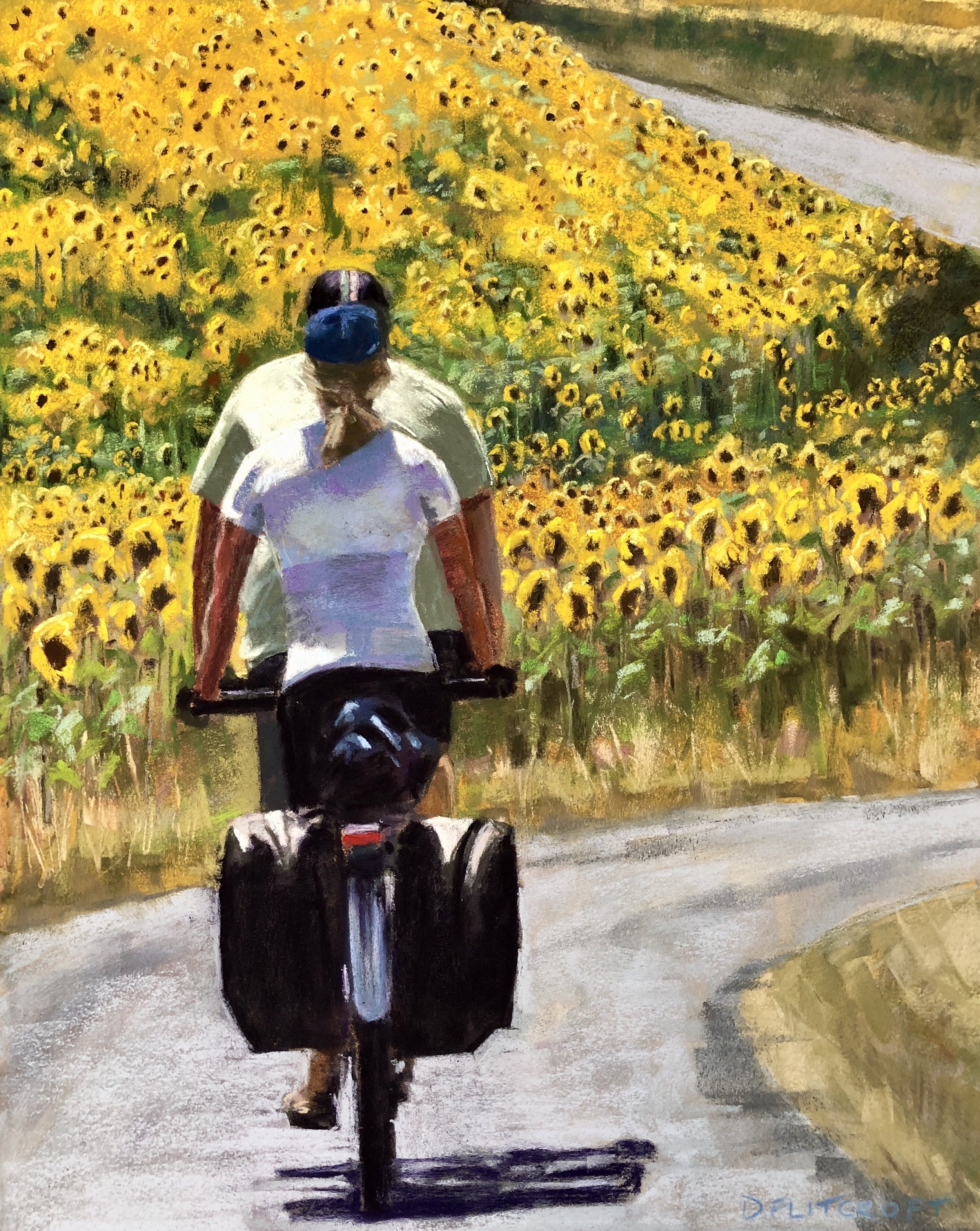 Karen and Ian tandeming through the sunflower fields.