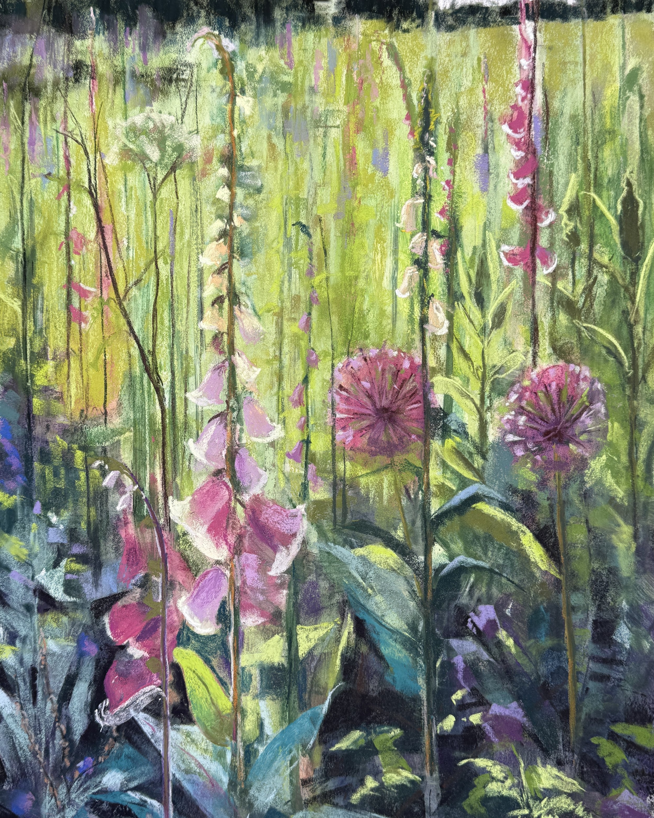Foxgloves and alliums. Soft pastel on Ampersand board. Artist’s private collection.