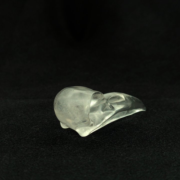 CROW QUARTZ SMALL 2.jpg