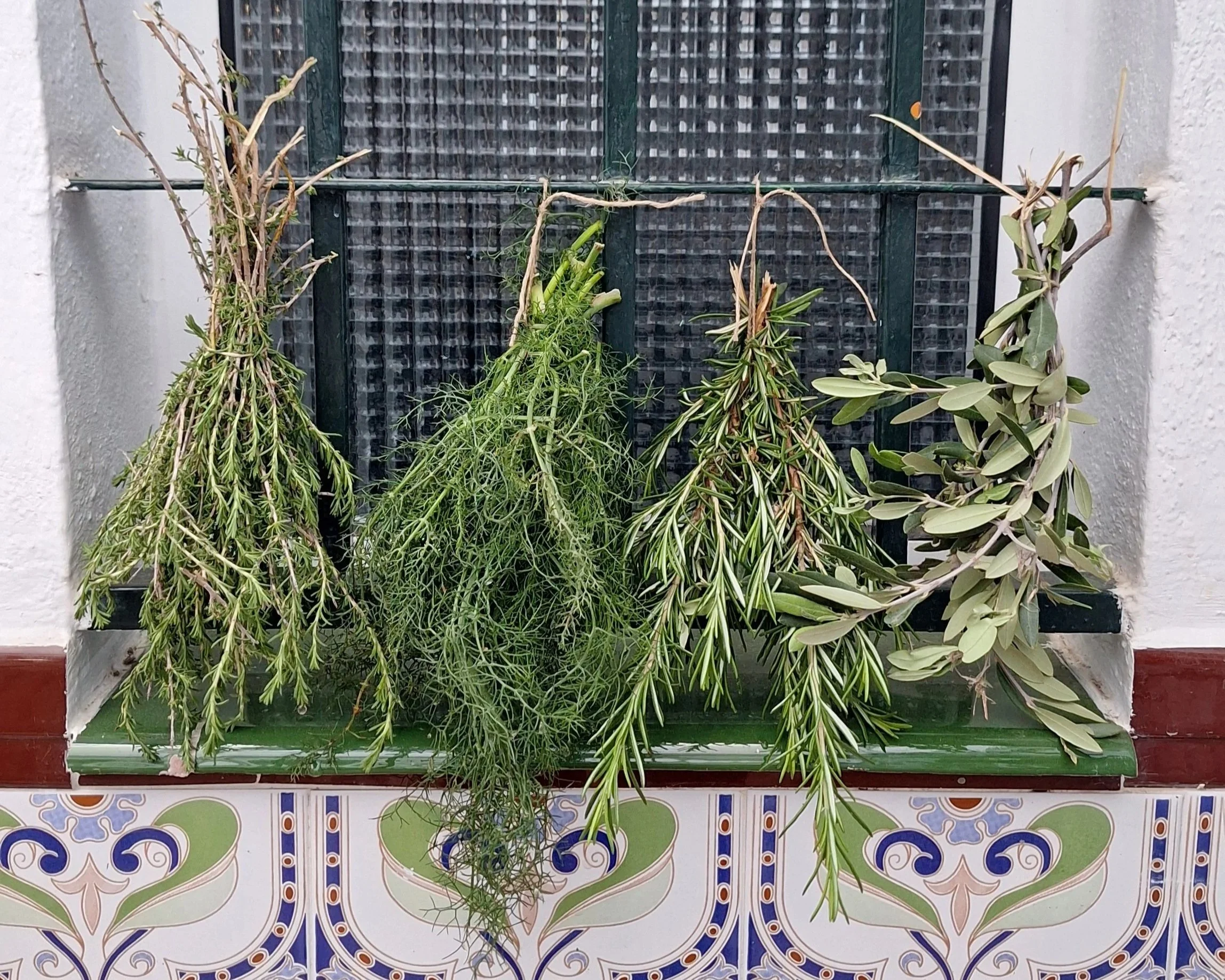 How foraging changed my relationship to cycling