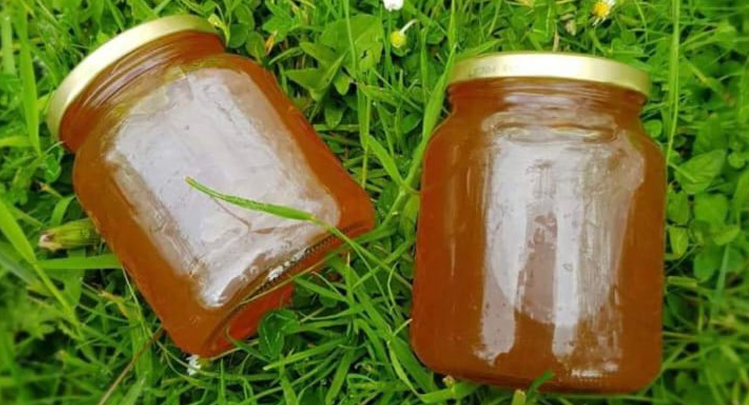 Jars of homemade jam
