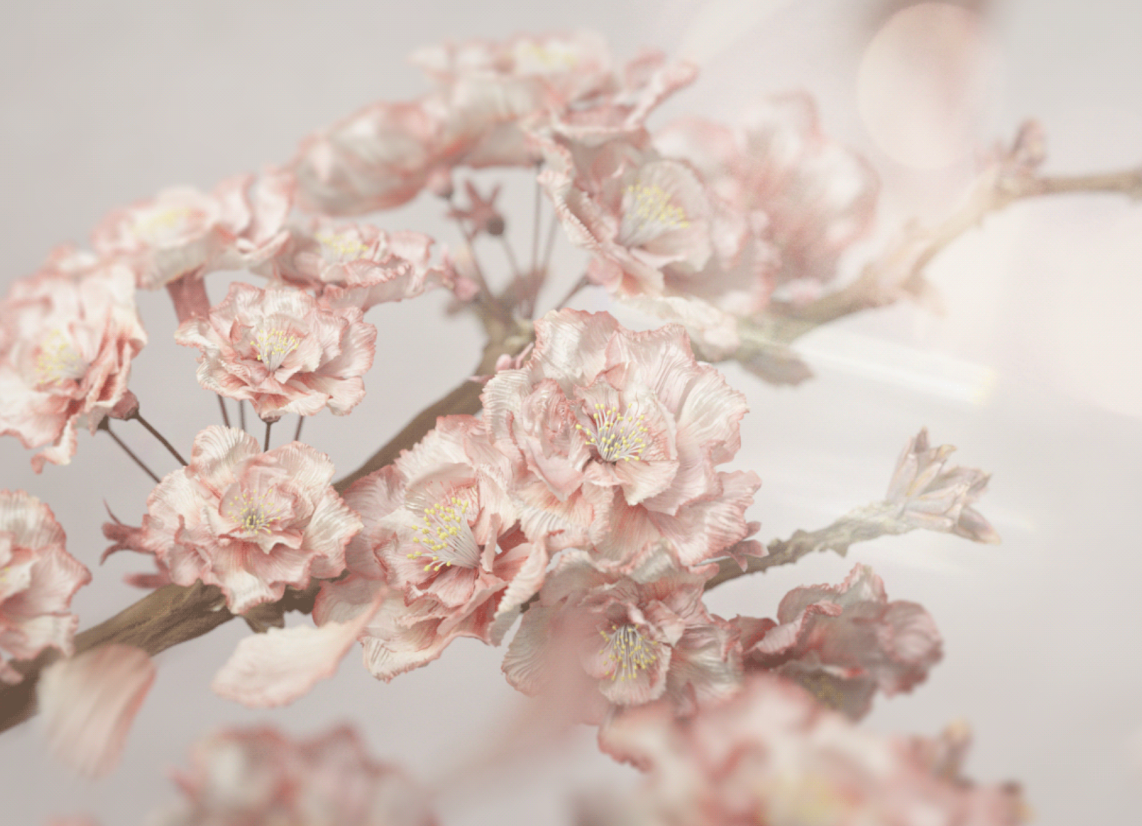 Image gallery 10.png