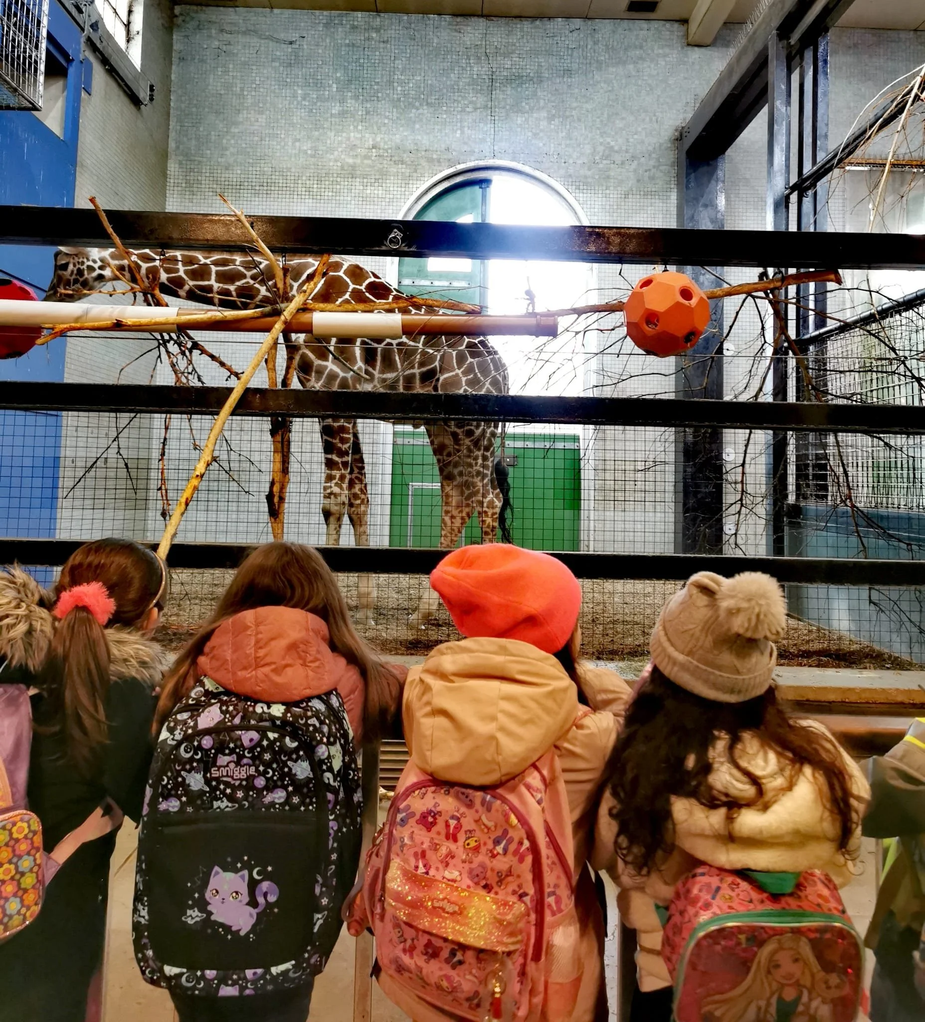 WhatsApp Image 2025-04-01 at 21.16.38 (4).jpeg