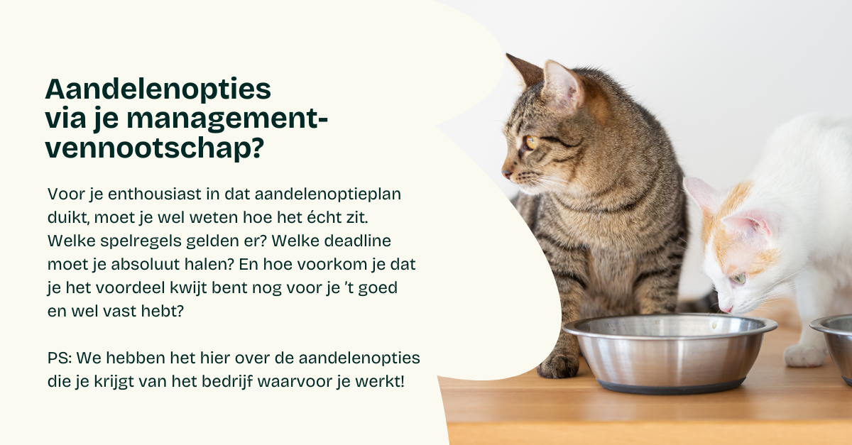 Aandelenopties via je managementvennootschap?