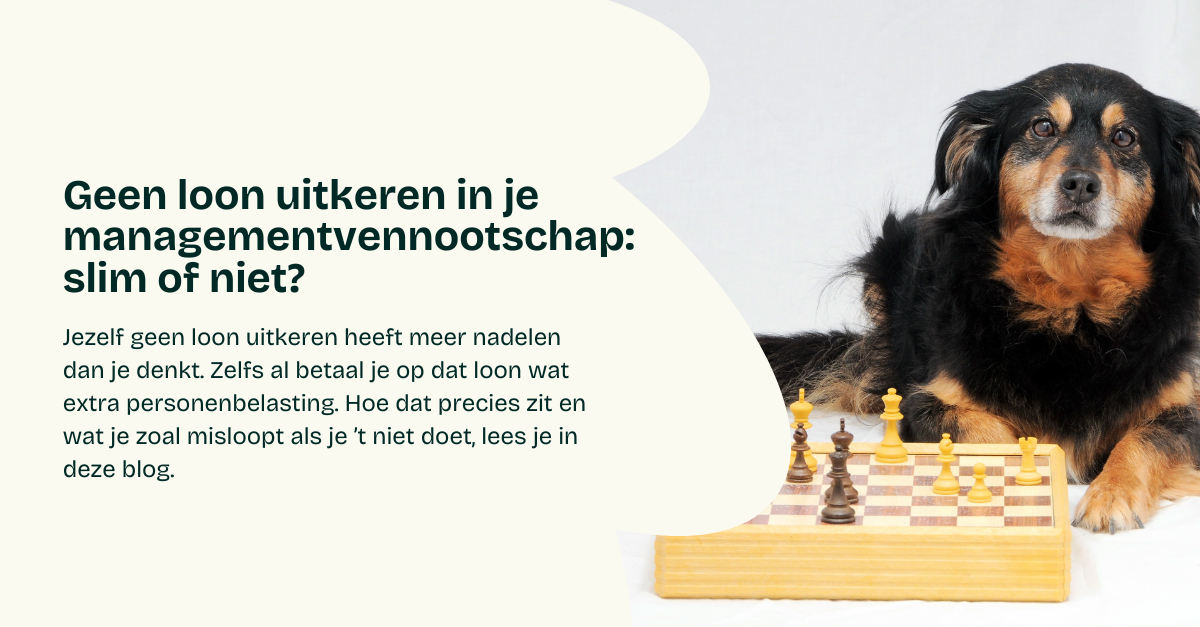 Geen loon uitkeren in je managementvennootschap: slim of niet?