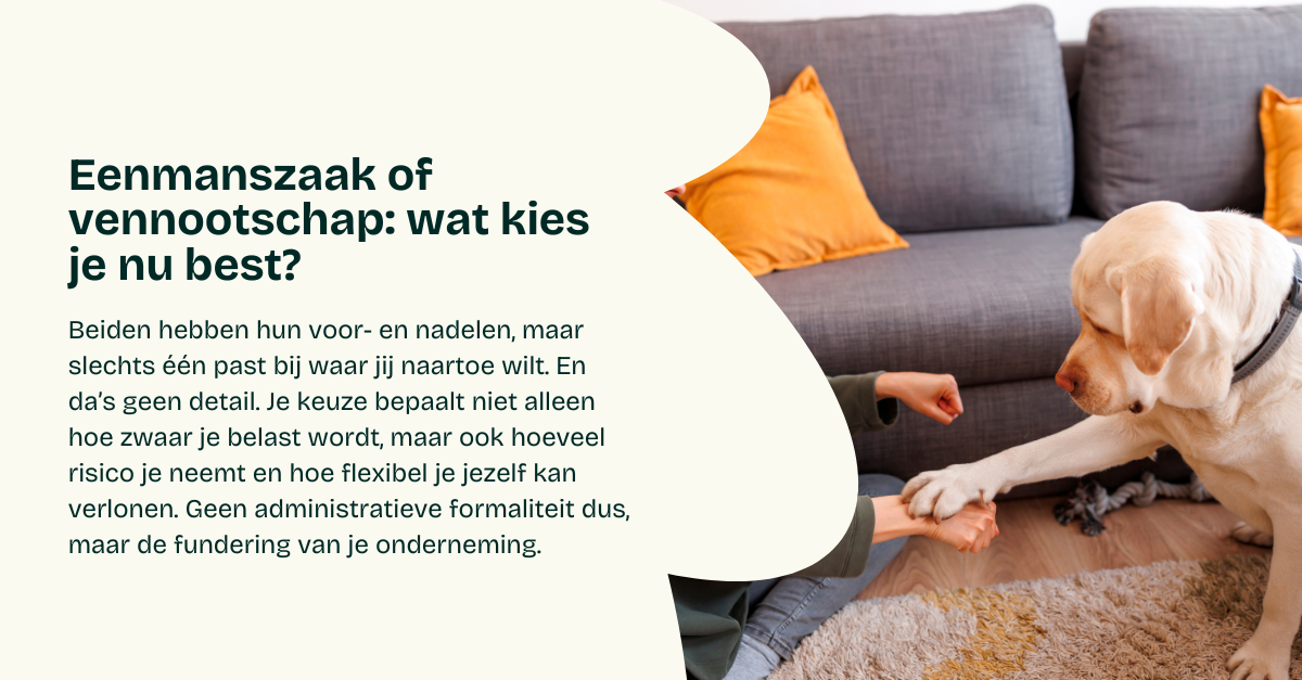 Eenmanszaak of vennootschap: wat kies je nu best?