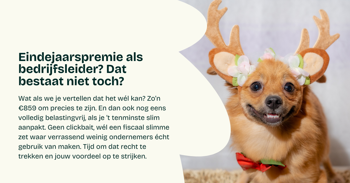 Eindejaarspremie voor zelfstandigen? Zo haal je €833 belastingvrij uit je vennootschap