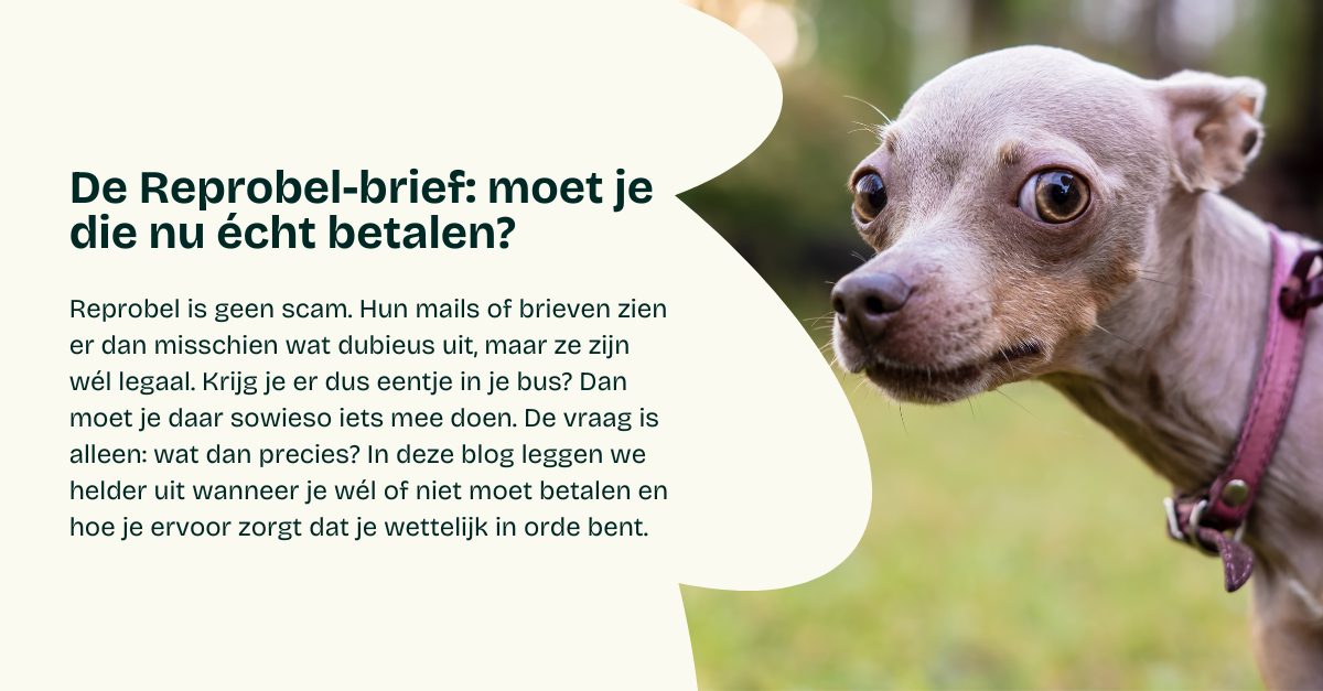 De Reprobel-brief: moet je die nu écht betalen?