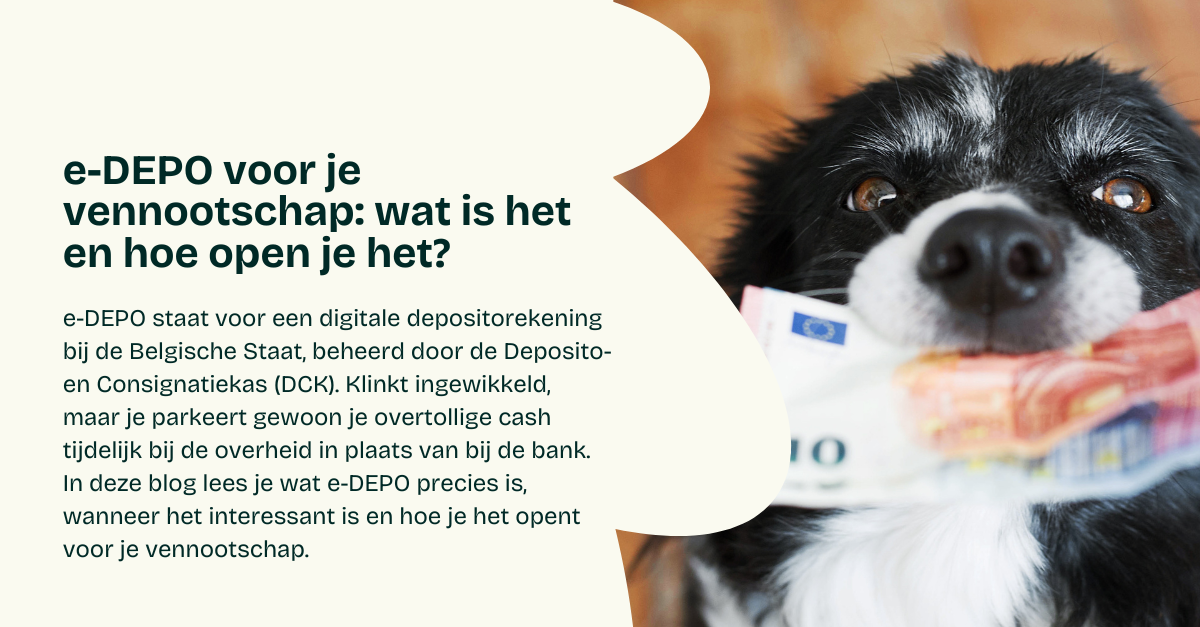 e-DEPO voor je vennootschap: wat is het en hoe open je het?