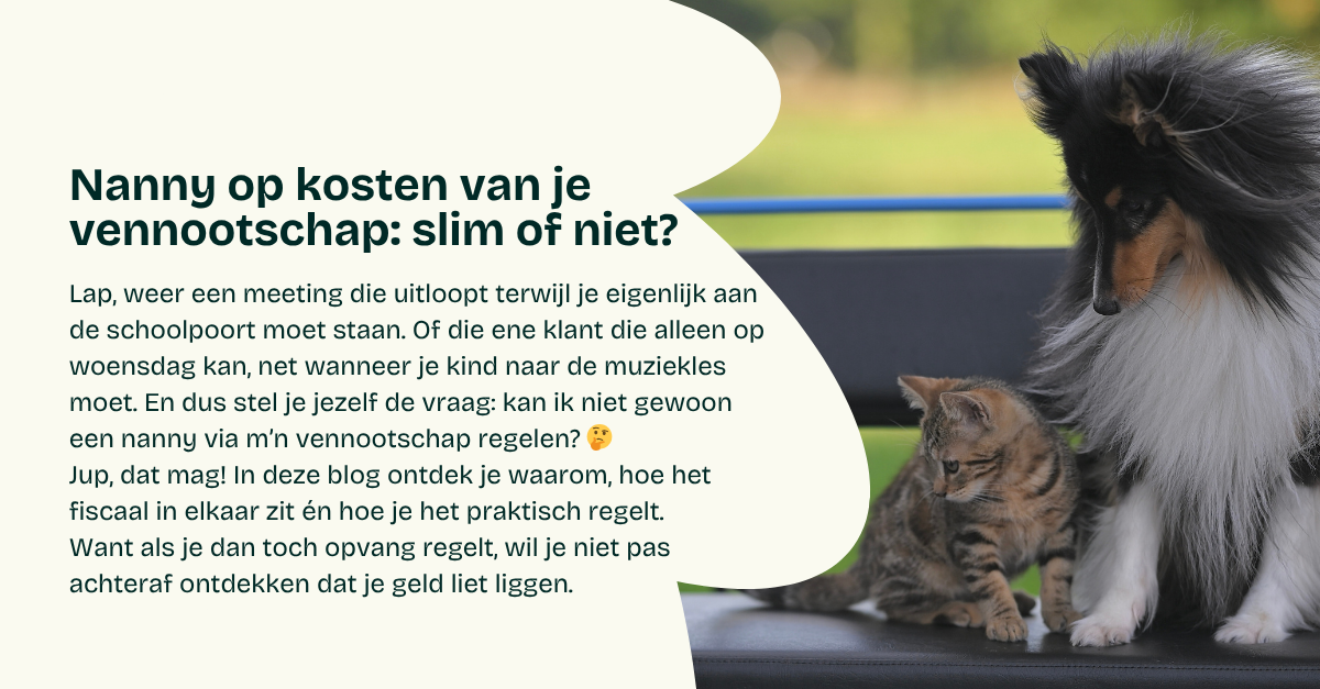 Nanny op kosten van je vennootschap: slim of niet?