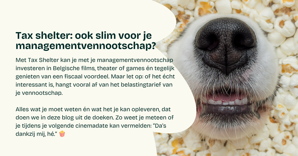 Tax shelter: ook slim voor je managementvennootschap?