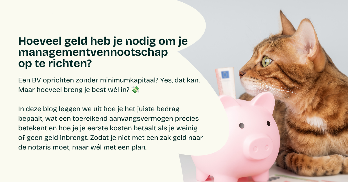 Hoeveel geld heb je nodig om je managementvennootschap op te richten?