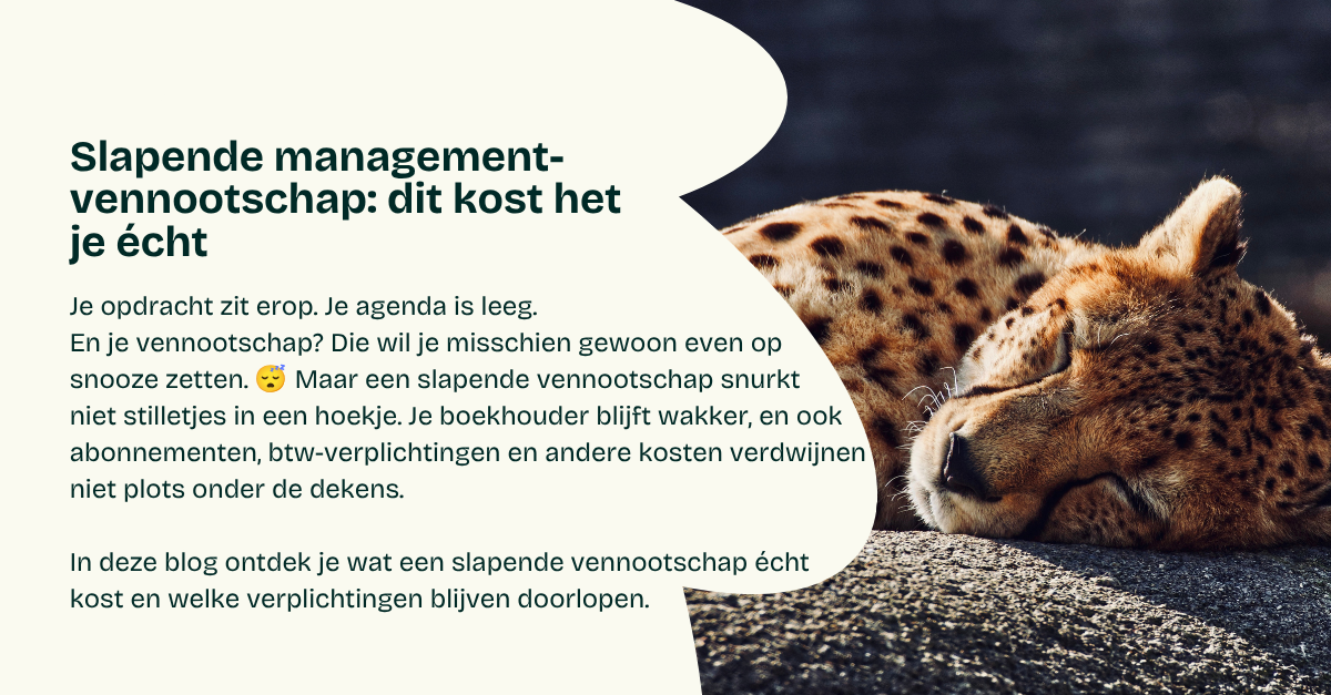 Slapende managementvennootschap: dit kost het je écht