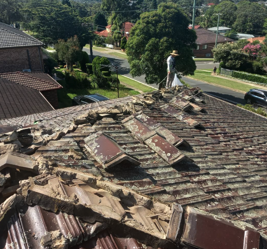 Heavily Moss-filled Terracotta roof - Before Roof Our Restoration