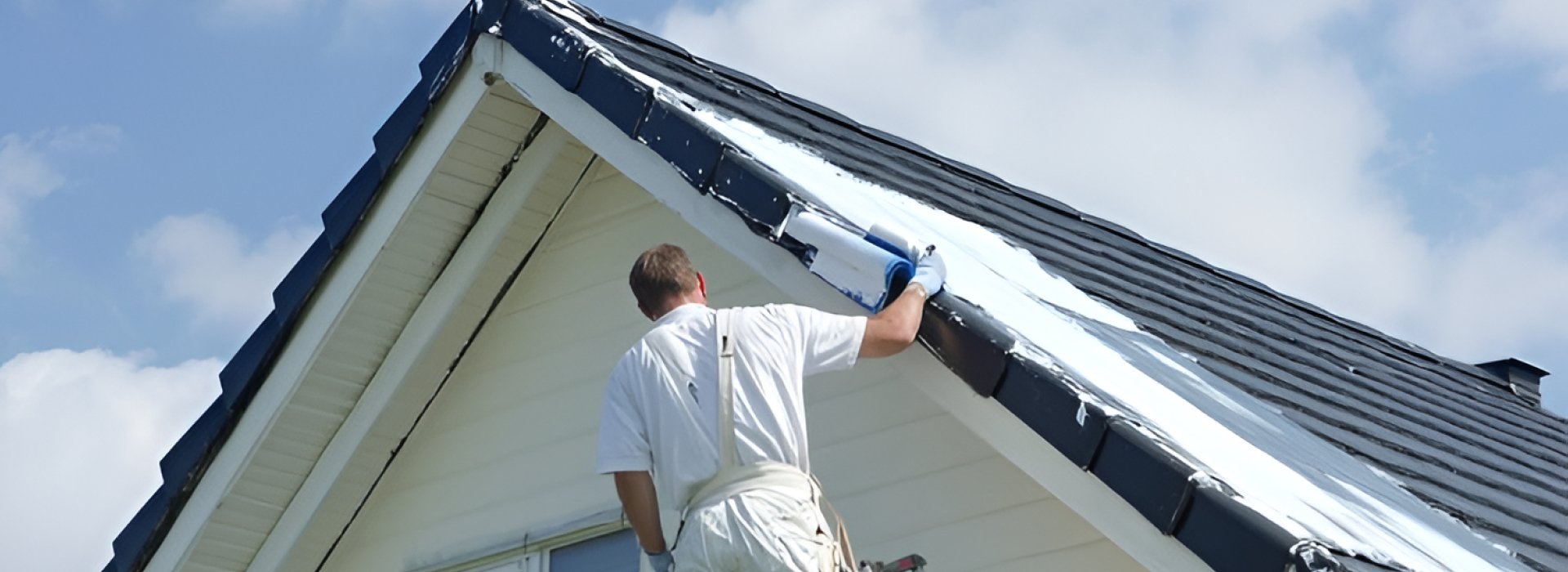 roof painting contractors
