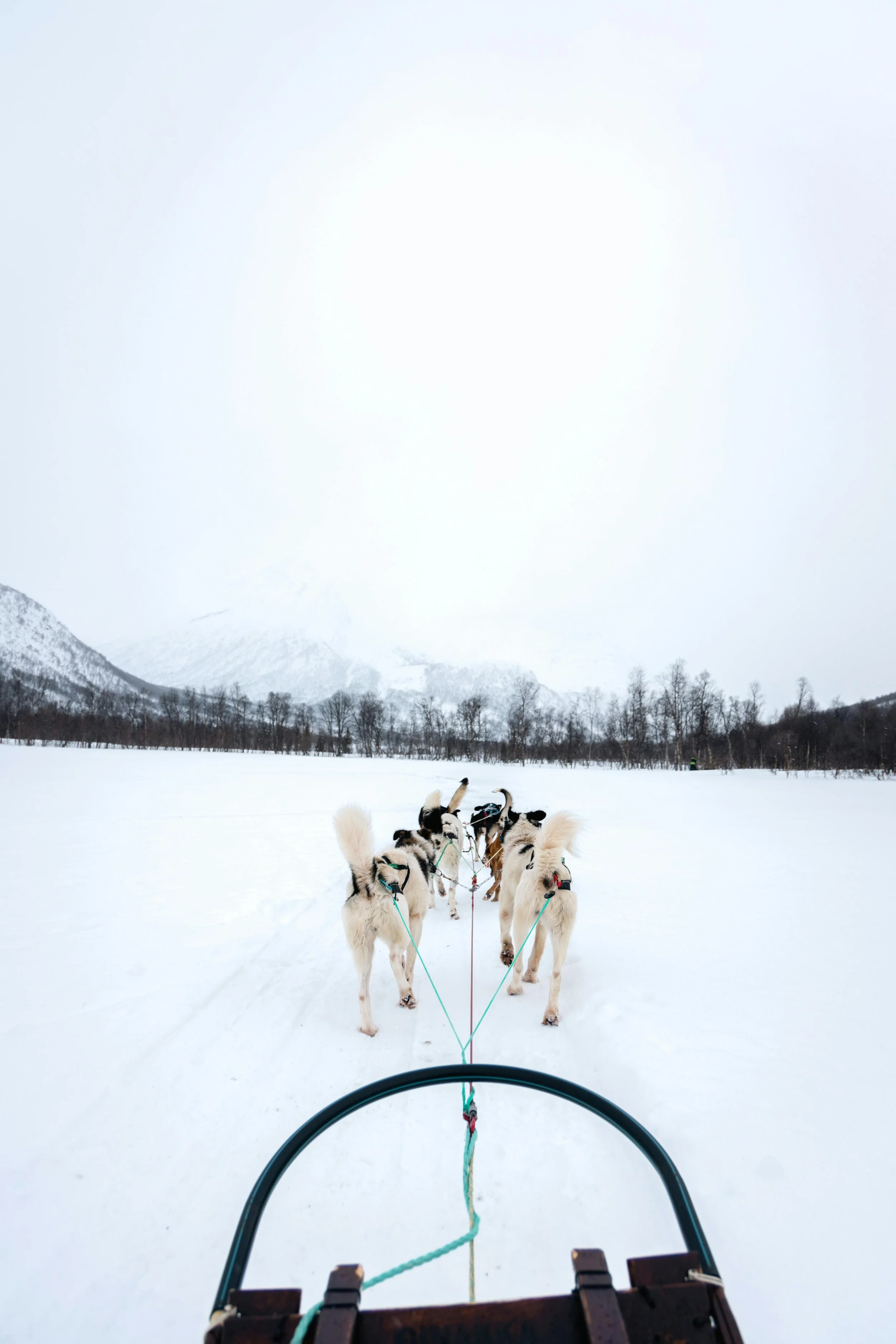 Troms