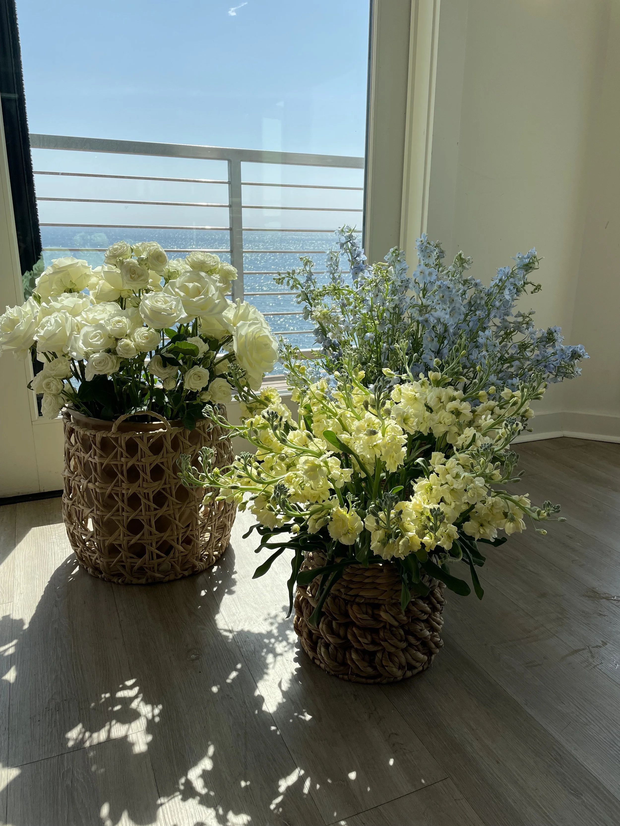 IMG_3160.jpeg