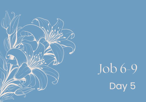 Questions About Suffering and Fairness