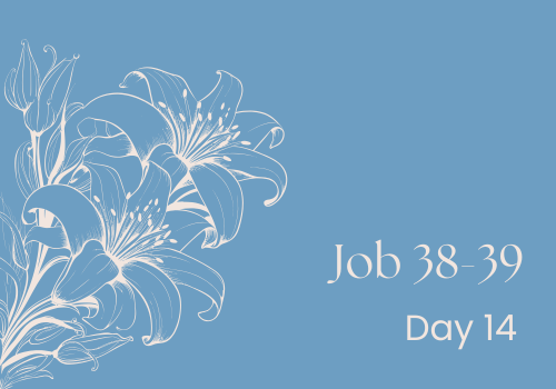 Mystery of Wisdom and Understanding in Job 38:36