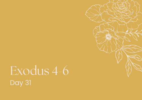 Why Do People Need Signs?