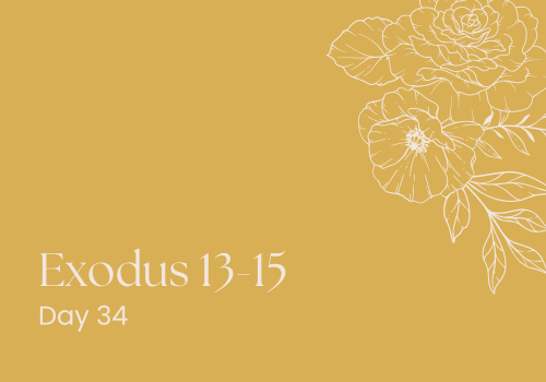 Miriam: The Prophetess You Didn't See Coming