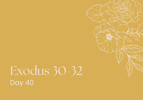 Golden Calves &amp; The Art of Freaking Out