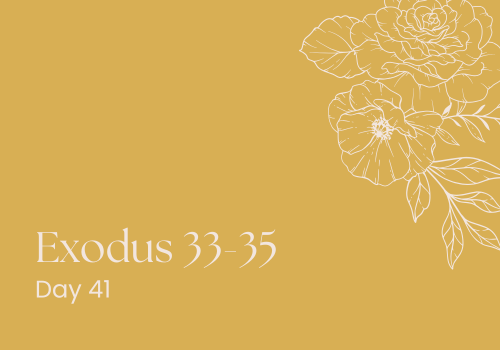 The Ripple Effect: Can We Escape the Past?