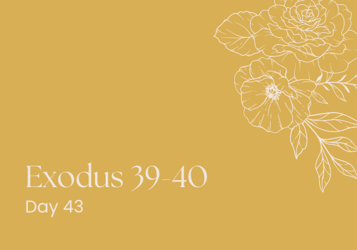 A Home Without an Address