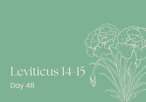 One Size Doesn't Fit All: Offerings with Options