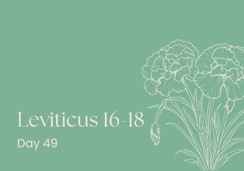 The Curious Case of the Goat Idols