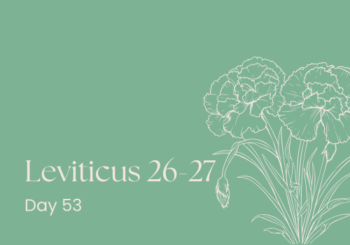 No Take-Backs: The Art of Giving Without Strings Attached