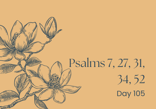 Saints, Schemers, and Something in Between