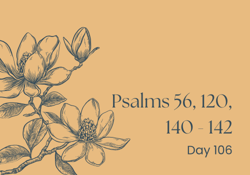 Talking to the Walls (and Maybe Someone's Listening)