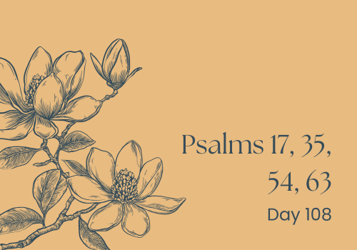 Thirsty in the Wilderness: When Safety Isn't the Only Need