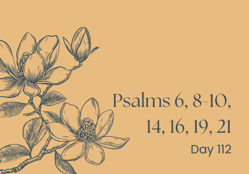 Starstruck and Speechless: When Psalms Just Stare at the Sky