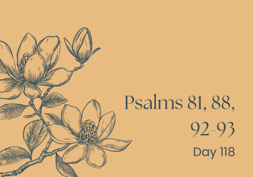 Why Rest Isn’t Just Doing Nothing