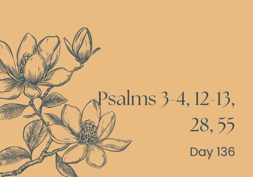 Can You Hear Me Now?