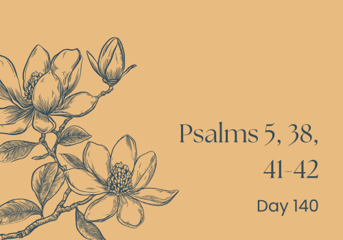 When the Group Chat Goes Quiet: Losing Friends in Hard Times