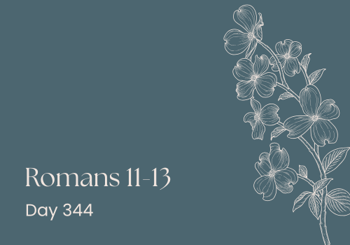 Power, Politics, and Paul: Romans 13 with a Twist