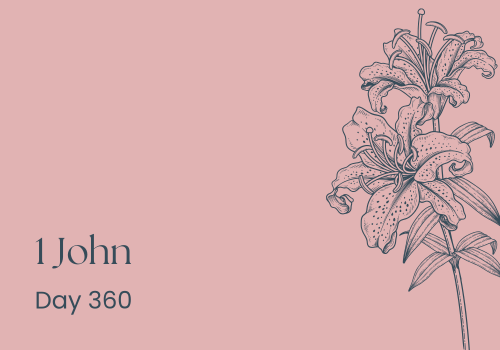 Walking the Line Between Light and Shade