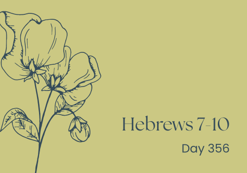 Rituals, Shadows, and the Human Habit of Repetition