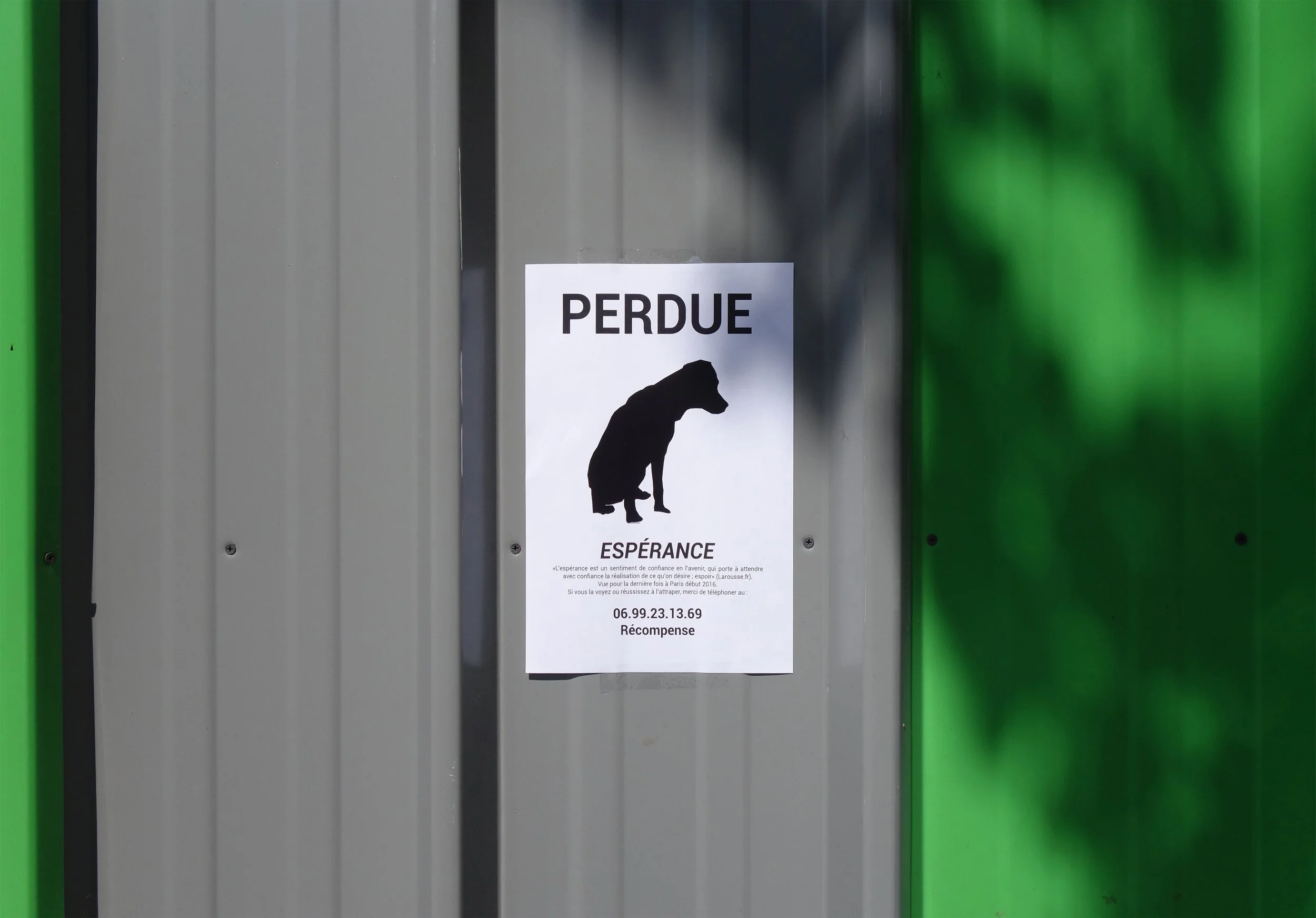 Photo seule.jpg