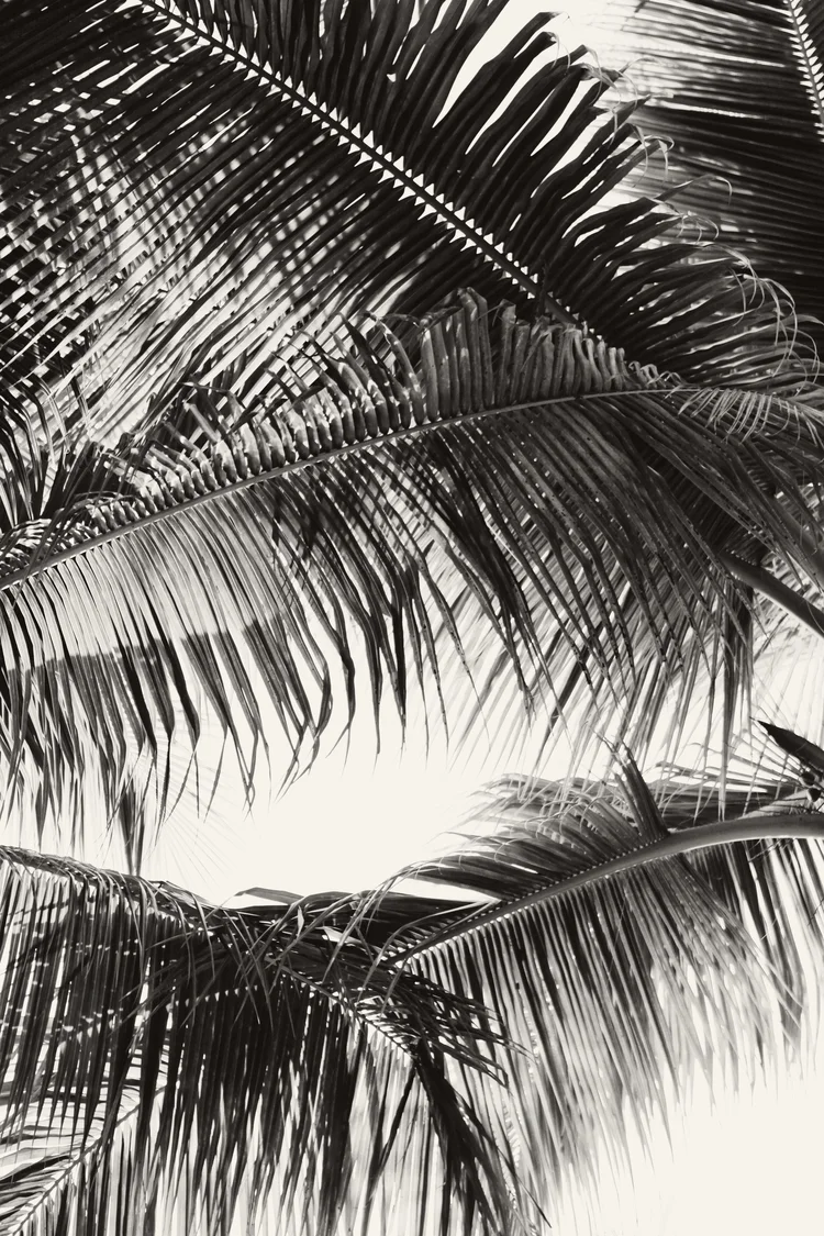 TRAVEL-DESTINATION-FLORIDAKEYS-CARIBBEAN-AMANDAJULCA-01.jpeg