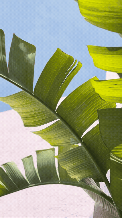 TRAVEL-04.gif