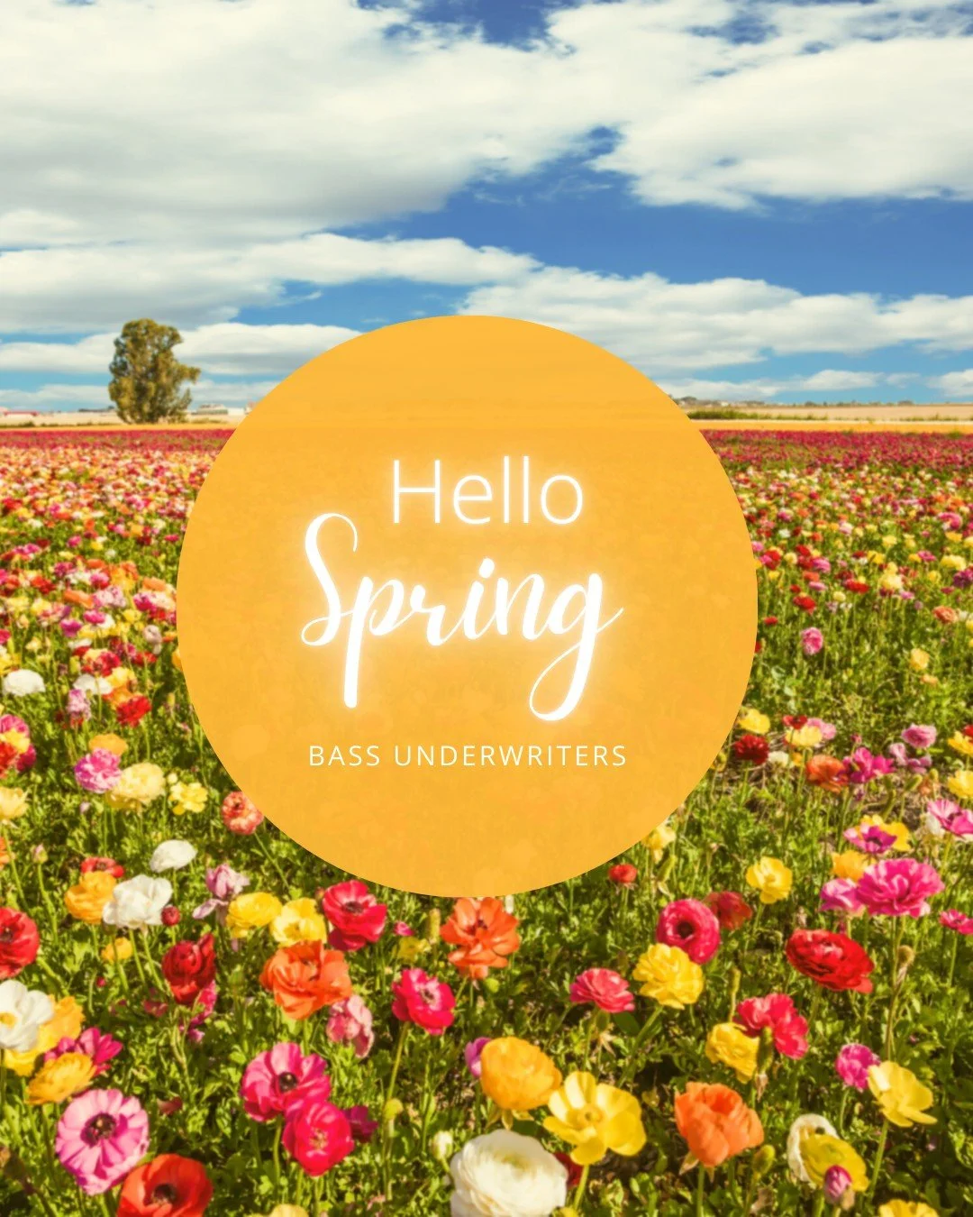 Spring brings renewal, in more ways than one.

In insurance, renewal season isn&rsquo;t just a date on the calendar, it&rsquo;s an opportunity to strengthen accounts, expand market access, and build leverage through preparation.

Here&rsquo;s to inte