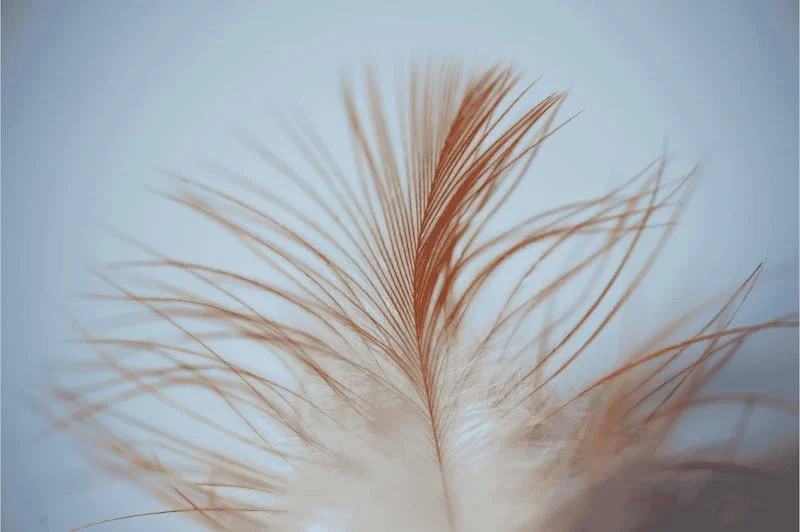 S04E08: Meta-Nota-Bene: OLG Köln zum KI-Training von Facebook, Whatsapp und Instagram I