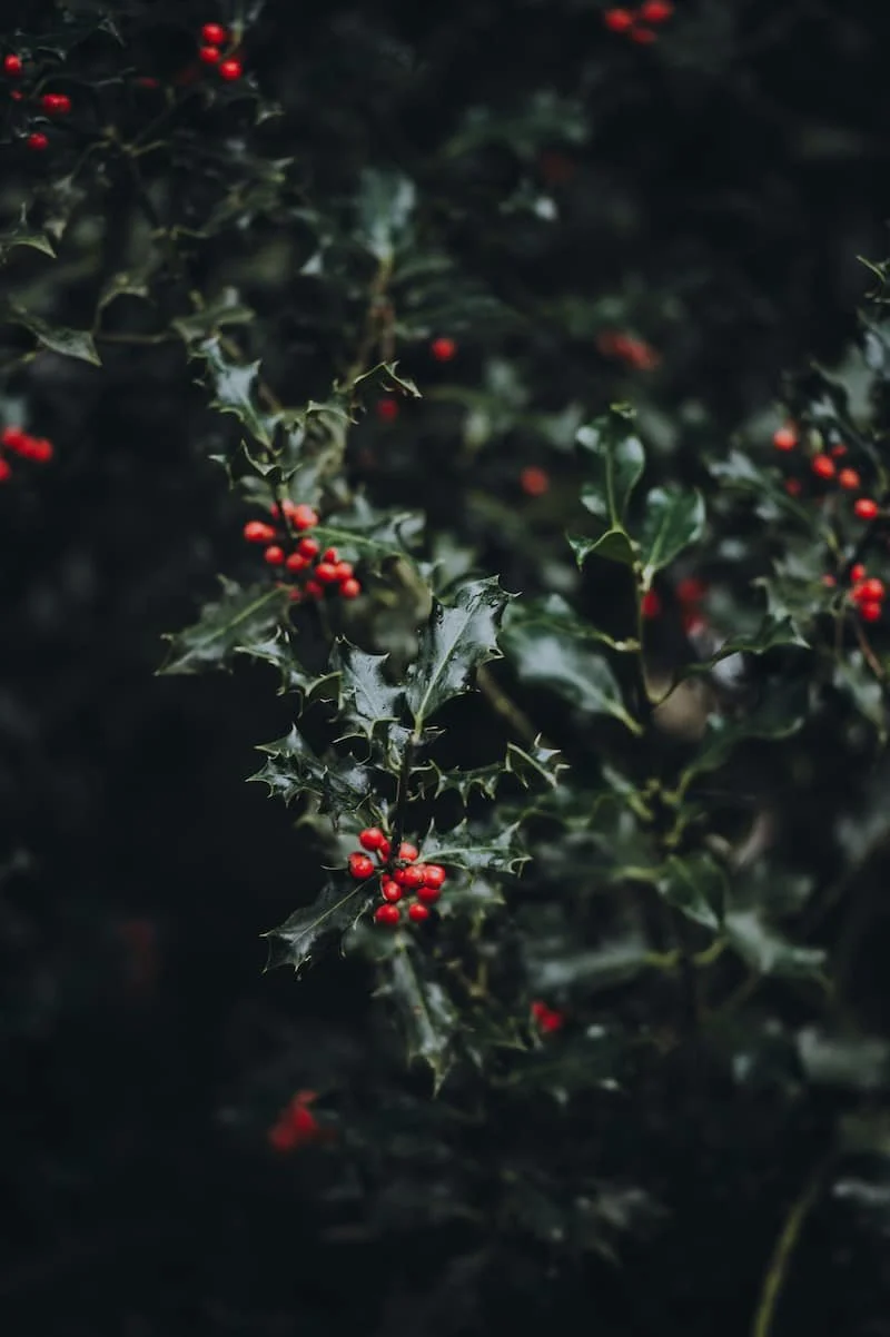 S03E21: Weihnachten: eine Compliance-Geschichte