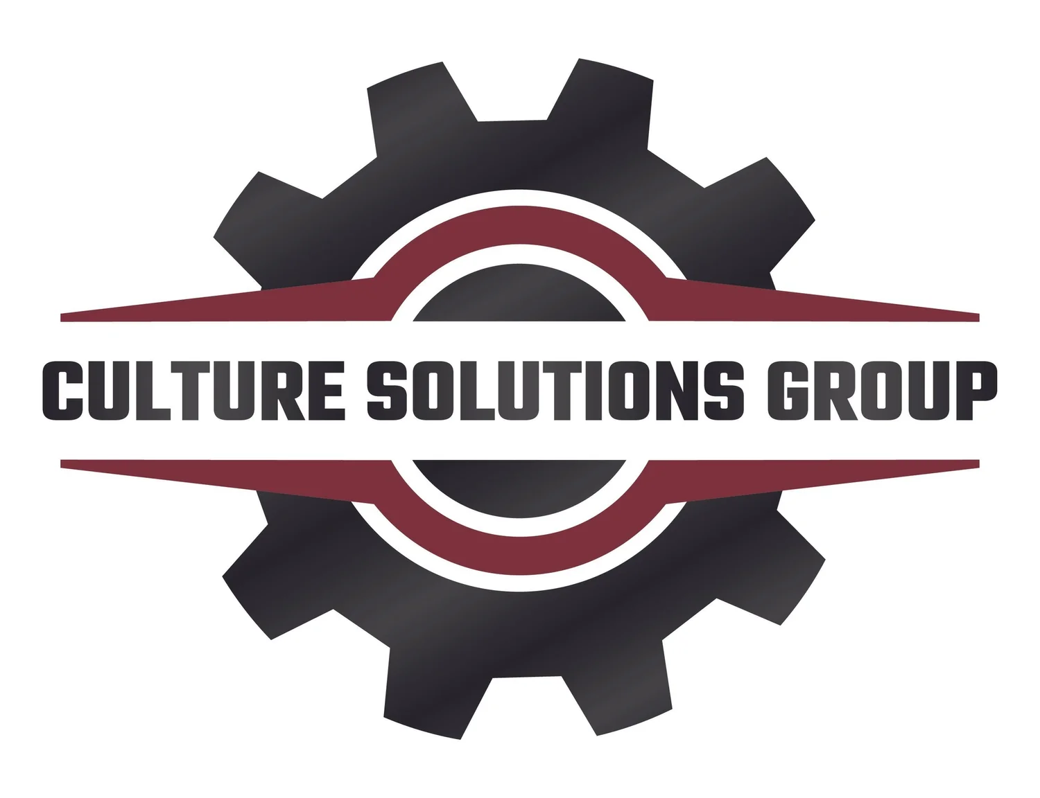 Culture Solutions Group