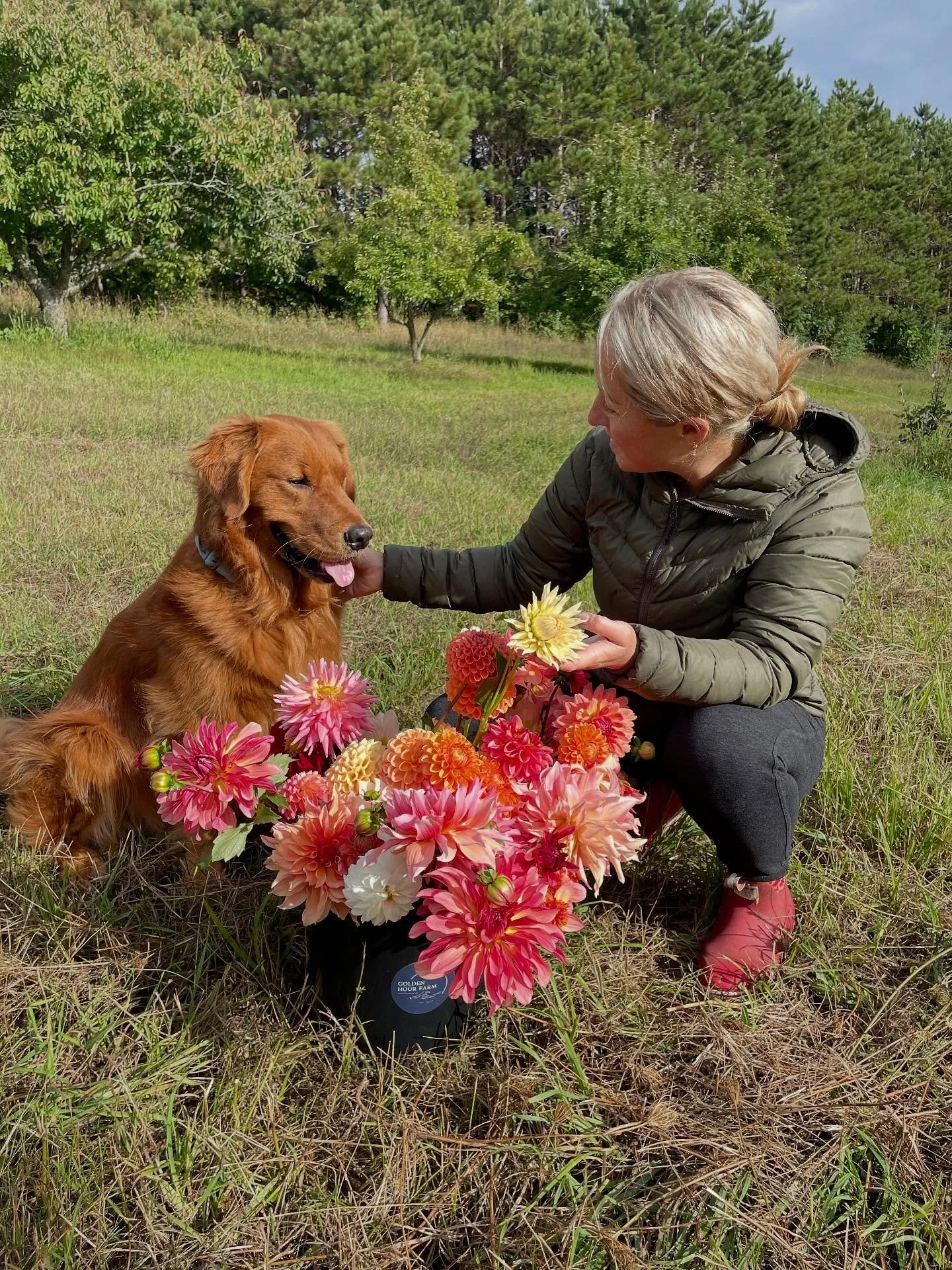 Dahlias love September. ๐ค